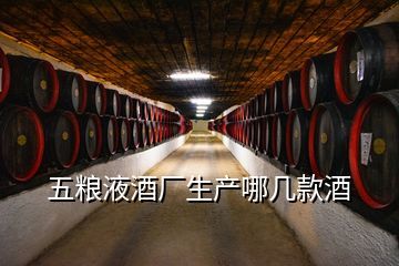 五糧神酒貴賓陳釀價格與品鑒指南